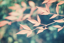 關于MDR法規2017/745:主要變化是什么?